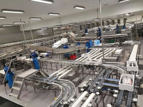 72小時上桌 大數據如何重塑挪威三文魚新鮮之旅